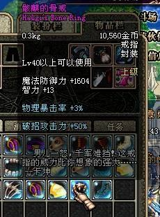 梦幻西游三属性的灵饰哪有那么容易鉴定出来73